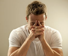 Ԥ������ס��Ƽ�����ν�����׾�֮����